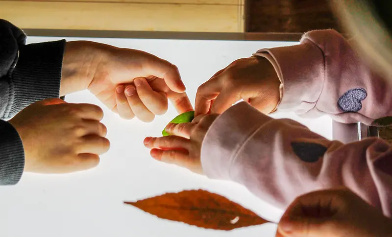 Innovazione e trasparenza